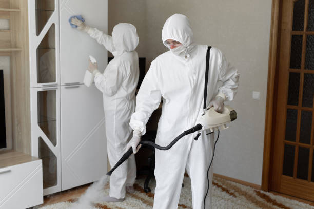 Affordable Infectious Disease Decontamination solutions in Hightstown, NJ